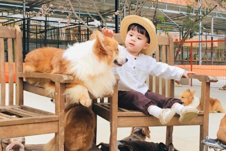 Tour Đà Lạt - Khám Phá những điểm checkin tại Đà Lạt ngàn hoa